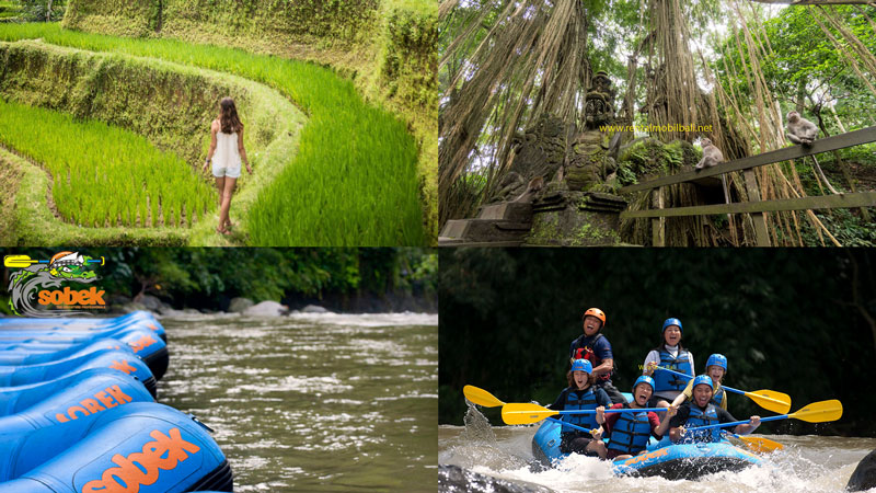 Paket Ayung Rafting Ubud Tour