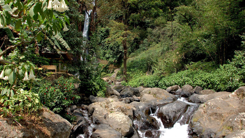 Pemandangan Air Terjun Gitgit yang asri dengan aliran air yang jernih melewati bebatuan