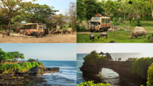 Highlights paket wisata Bali Safari Marine Park dan Tanah Lot