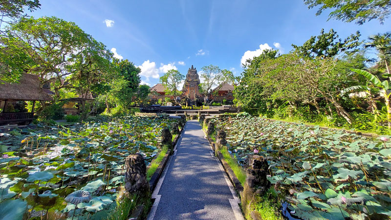 Kolam Teratai Pura Taman Saraswati Ubud