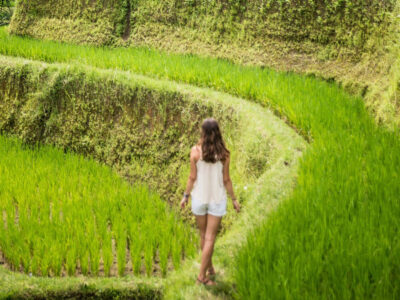 Seorang turis berjalan di tengah sawah terasering Tegallalang yang subur di Ubud, Bali