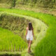 Seorang turis berjalan di tengah sawah terasering Tegallalang yang subur di Ubud, Bali