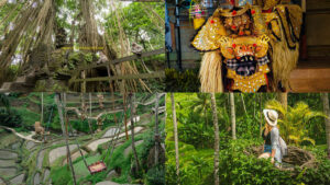 Kolase Pengalaman Ubud: Monkey Forest, Tari Barong, Tegalalang Rice Terrace, dan Wisatawan Menikmati Alam