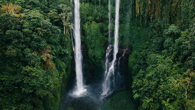 Air Terjun Sekumpul dilihat dari udara, dikelilingi pepohonan hijau di Bali, Indonesia