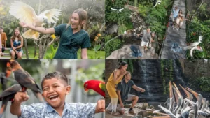 Pengunjung menikmati atraksi burung – Tiket masuk harga spesial WNI. © Bird Park Bali.