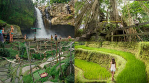 Kolase daya tarik Ubud: Air Terjun Tegenungan, monyet di hutan, dan sawah berundak hijau