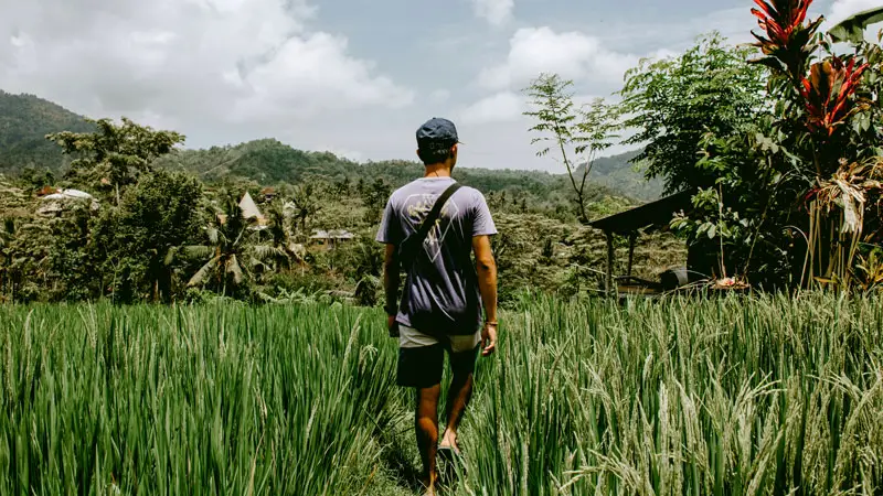 Wisatawan berjalan di tengah sawah ditemani pemandu lokal di Bali