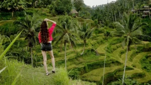 Wisatawan menikmati pemandangan tempat wisata sawah terasering di Bali