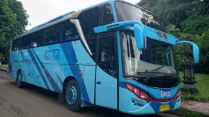 Armada bus pariwisata nyaman dan aman untuk liburan di Bali.