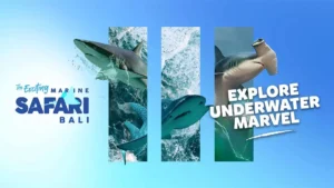 Banner utama Paket Sea Dragon Marine Safari Bali dengan gambar hiu, ombak, dan tagline ‘Explore Underwater Marvel’.