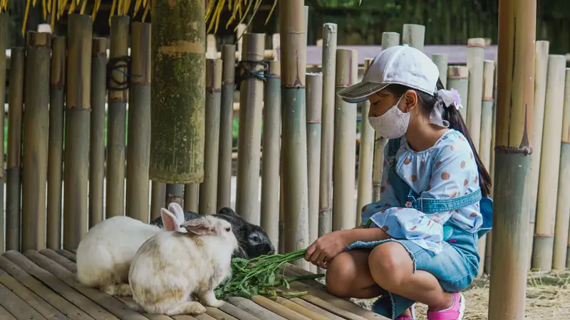 Anak memberi makan kelinci di Safari Park Gianyar © Wira Tour