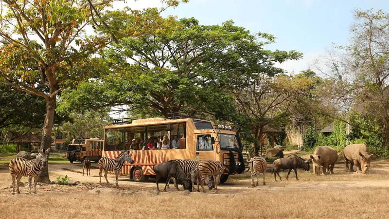 Tram Safari Bali Safari Marine Park dikelilingi satwa