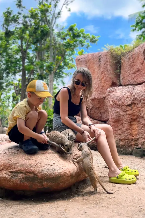 Anak memberi makan meerkat di Bali Zoo