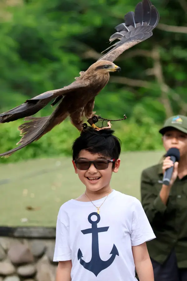 Anak ikut atraksi burung di panggung kebun binatang