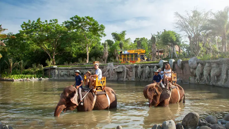 Wisatawan naik gajah santai di Bali Zoo pada jalur air