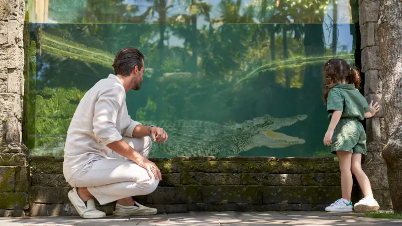 Interaksi aman lihat hewan di Bali zoo cocok untuk anak