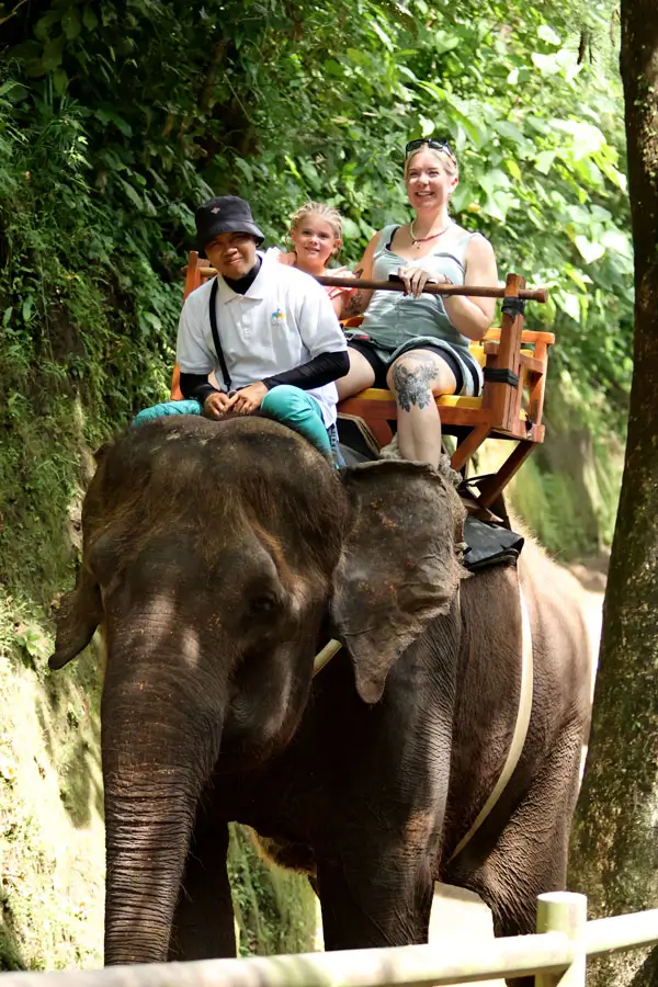 Keluarga naik gajah bersama pemandu di kebun binatang