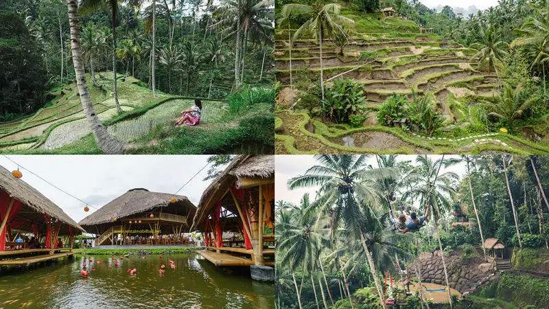 Collage of Ubud honeymoon spots with rice terraces, café on a pond, and jungle swing