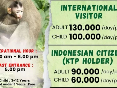 Harga Tiket Masuk Monkey Forest Ubud Bali