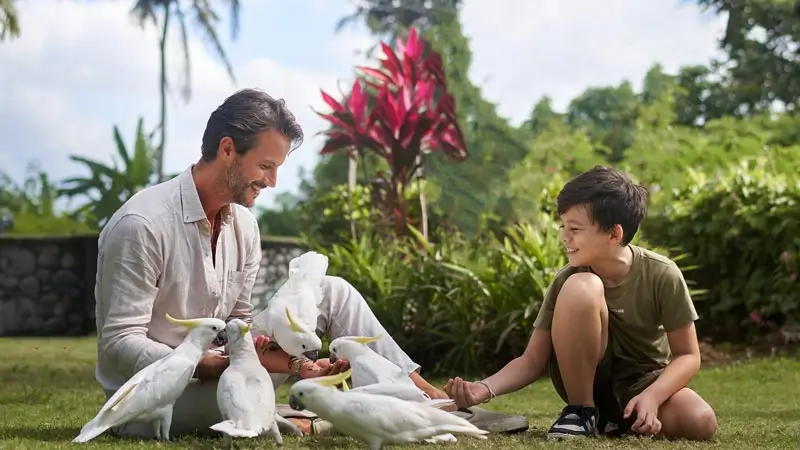 Suasana keluarga di Bali Zoo saat memberi makan burung kakaktua