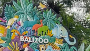 Sign Bali Zoo di pintu masuk, patokan lokasi sebelum cek jam buka Bali Zoo