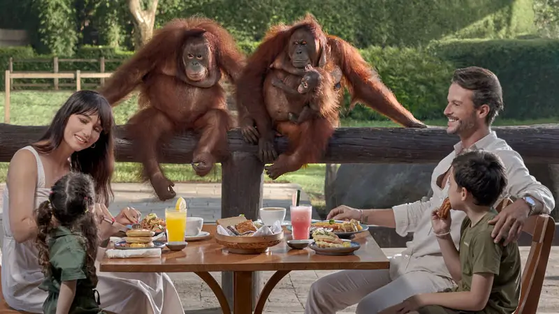Keluarga sarapan dekat orangutan dalam paket Breakfast with Orangutan