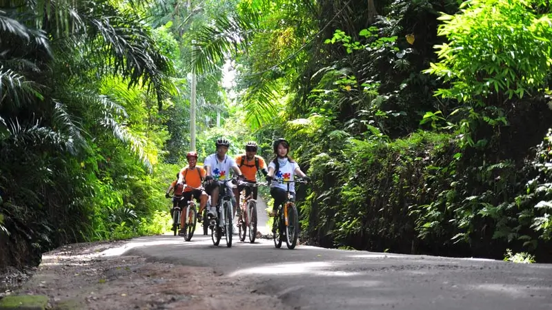 Peserta cycling melewati jalan teduh dengan suasana hijau Ubud