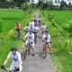Rombongan bersepeda melewati jalan kecil di antara sawah Ubud
