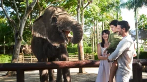 Keluarga melihat gajah di area Bali Zoo